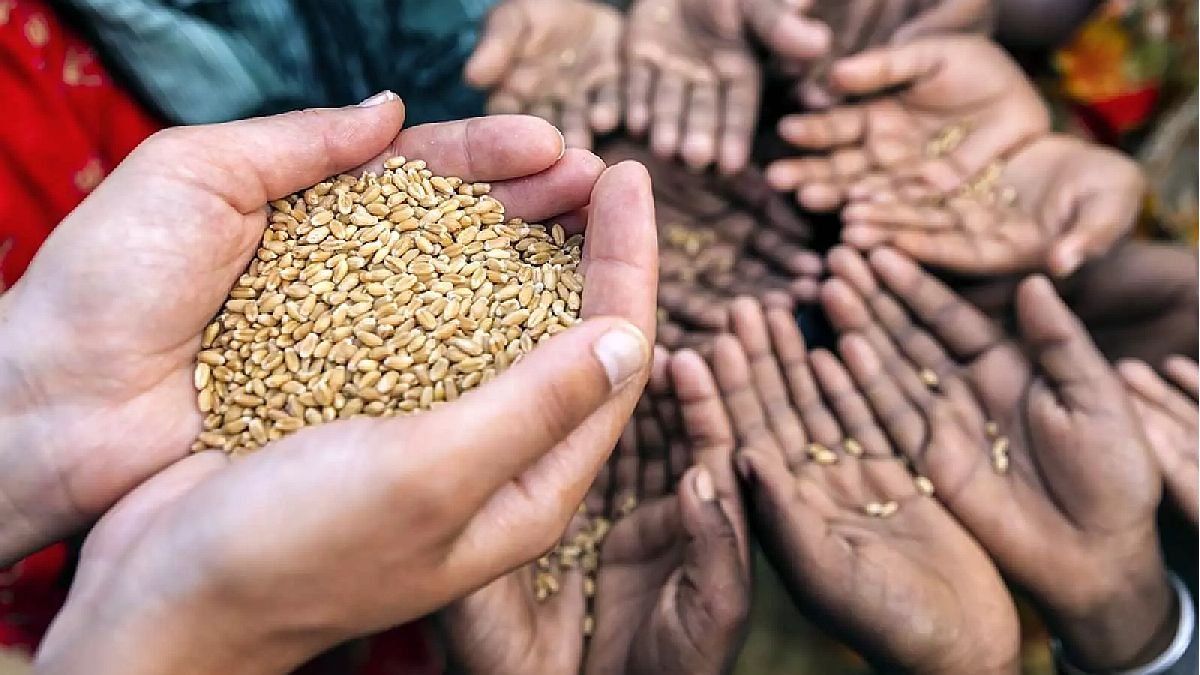 Proponen 30 soluciones para enfrentar la crisis alimentaria mundial