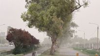 Calingasta, Pocito, Rivadavia, Sarmiento y Ullum figuran entre las zonas alcanzadas por la alerta amarilla.&nbsp;