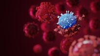 El virus SarsCov2 puede ser neuralizado por una proteína.