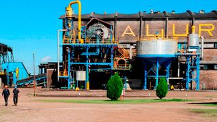 Alur redondeó una de las zafras más productivas de las últimas cinco décadas. 