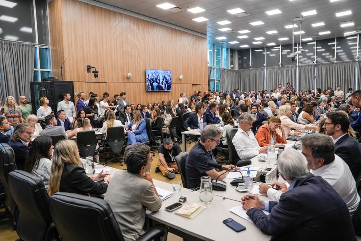 En un plenario de cuatro comisiones en Diputados, el proyecto libertario alcanzó 81 firmas. En un plenario de cuatro comisiones en Diputados, el proyecto libertario alcanzó 81 firmas.