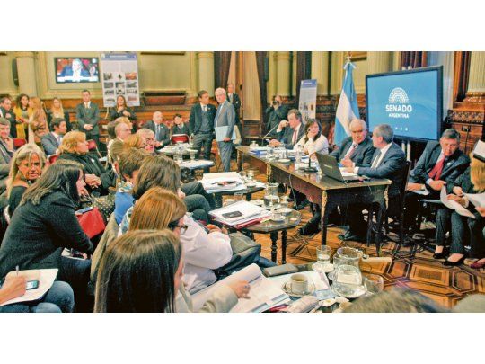 Comisión. Los senadores de Cambiemos, asistidos por especialistas en energía, no pudieron frenar el dictamen antisuba de tarifas del PJ.