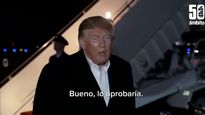 La declaración de Trump sobre Flávio Bolsonaro.