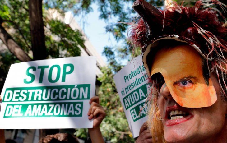 Vida Silvestre: qué se puede hacer para ayudar a recuperar el Amazonas