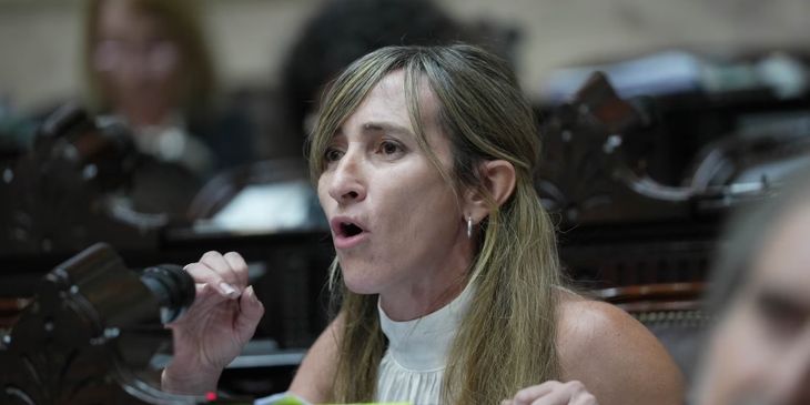 Mercedes Llano, diputada nacional por Mendoza. Mercedes Llano, diputada nacional por Mendoza.