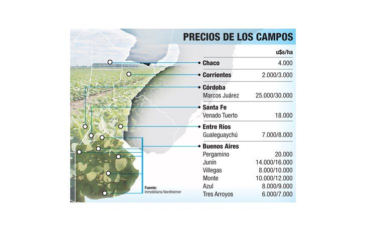 ámbito.com | Parálisis también afecta compra y alquiler de campos
