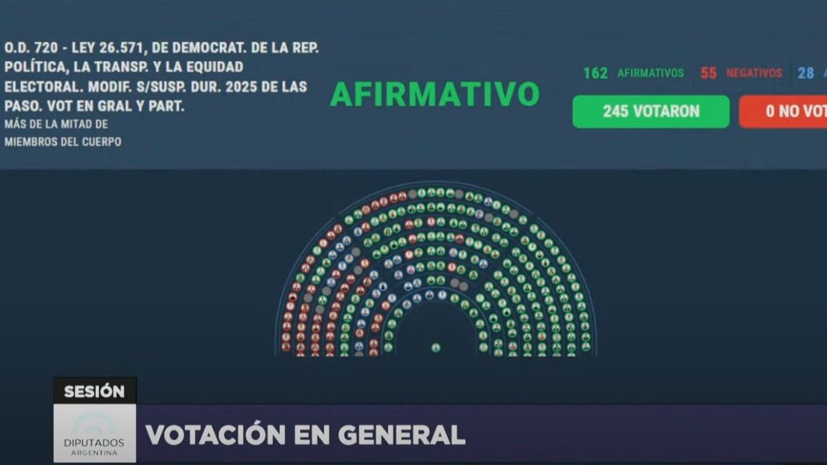 Suspension of the step: how each deputy voted