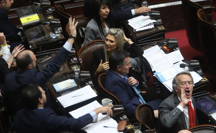 El bloque de La Libertad Avanza se sum&oacute; a la conflictividad dentro de la C&aacute;mara de Diputados.