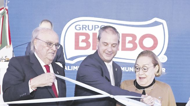 P8 - GRUPO BIMBO_opt.jpeg