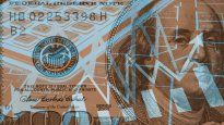 Las intervenciones del BCRA lograron moderar la brecha cambiaria, pero su eficacia a largo plazo esta en duda.&nbsp;