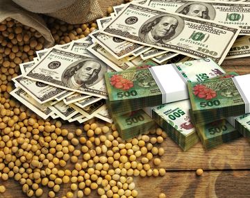Dólar soja: Economía hará anuncios para el campo
