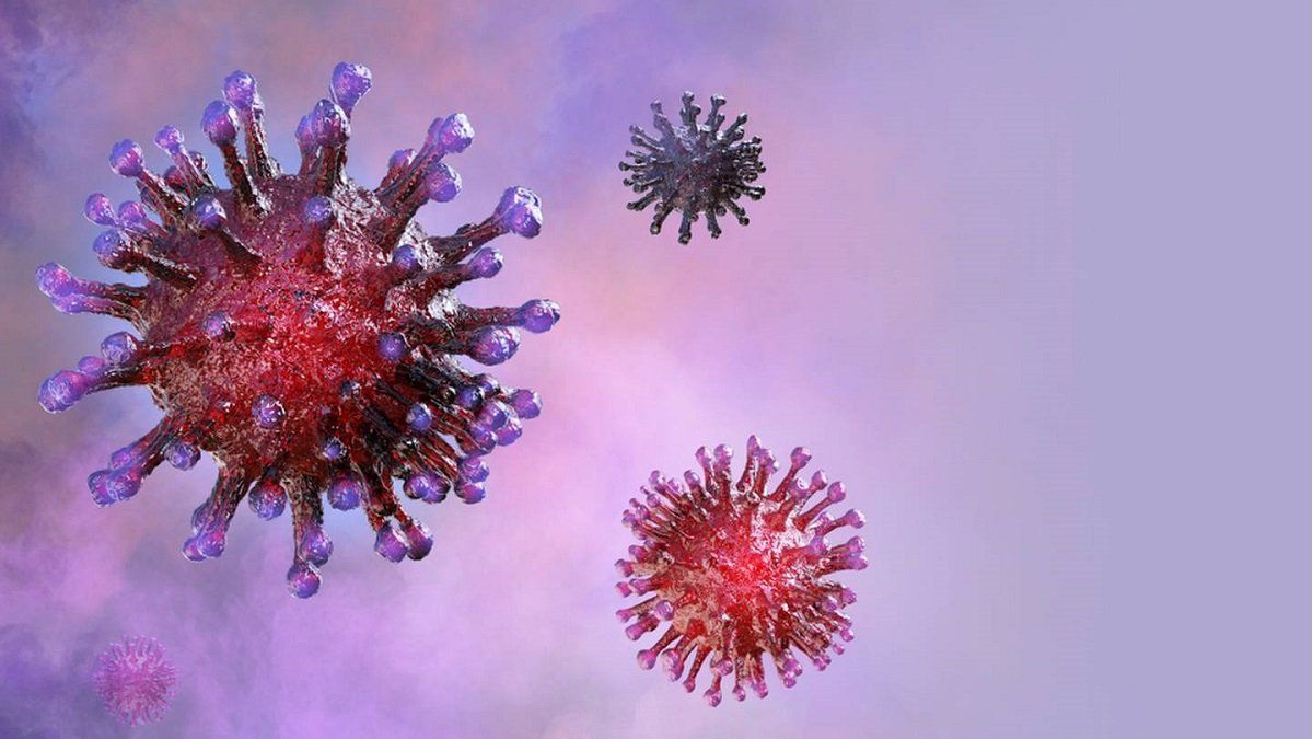 La OMS reporta un nuevo virus en África: ¿De qué se trata?
