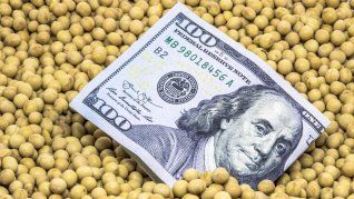 Los futuros de la soja de Chicago caían 1% tras la reunión, situación que se revirtió tras los dichos de Scott Bessent. Los futuros de la soja de Chicago caían 1% tras la reunión, situación que se revirtió tras los dichos de Scott Bessent.