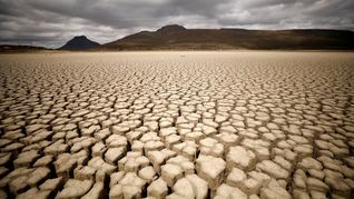 Los humanos se adaptaron a diversos hábitats antes de salir de África. 