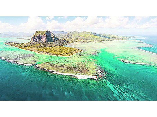DESCUBRIMIENTO. Analizando los minerales expulsados por los volcanes, se encontraron los restos de Mauritia.