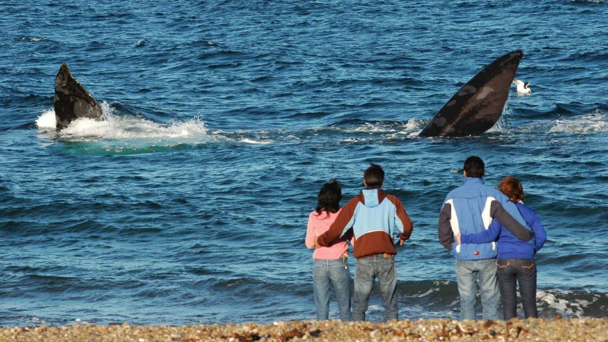 Global ranking: the Argentine beach that is among the 100 best in the world