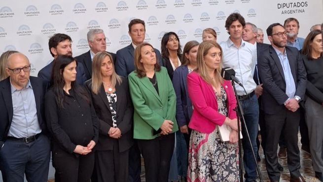 Diputados del radicalismo, Encuentro Federal y Coalición Cívica en la conferencia.