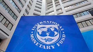 Fondo Monetario Internacional 