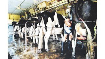 El mal clima en Nueva Zelanda, el principal productor de lácteos del mundo, generó subas extraordinarias en los precios.