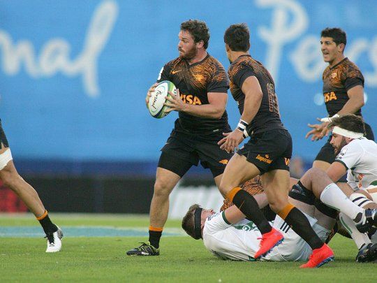 jaguares.jpg