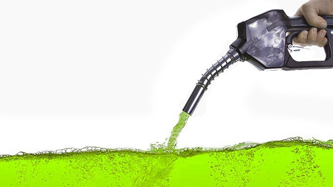 Las resoluciones de los biocombustibles aclaran que las medidas se adoptan en el contexto de emergencia económica y energética.