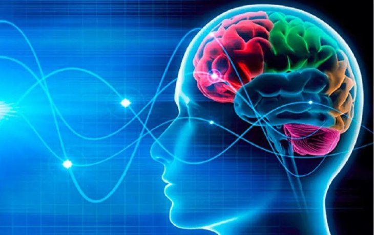 descubrieron el punto g del cerebro: las utilidades que podria tener el hallazgo