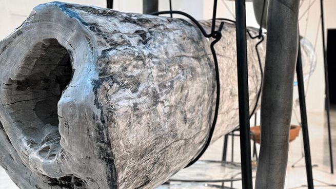 Un tronco petrificado de más de 2500 kg. forma parte de la exposición de Tunga en el Malba.