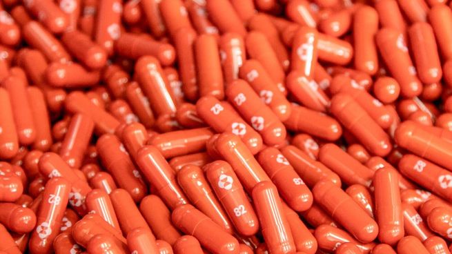 Las píldoras de Pfizer contra el Covid-19