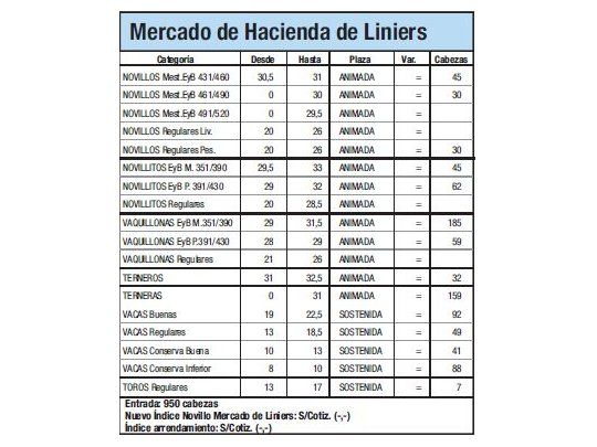 Ingresaron 950 animales a Liniers
