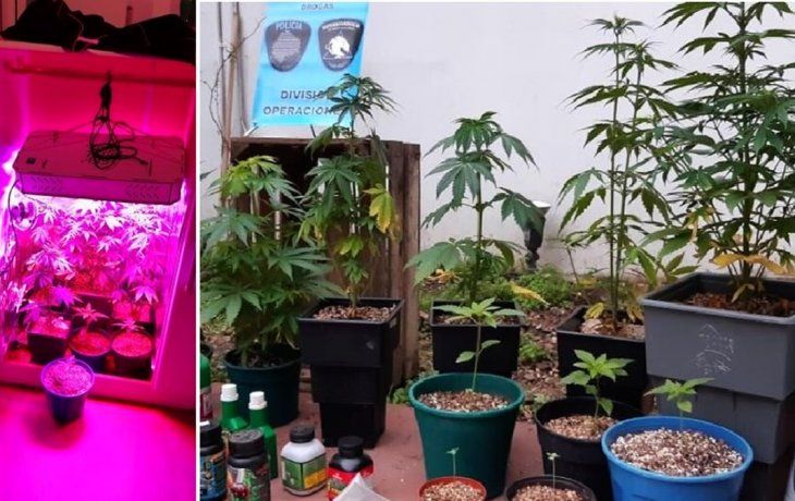 Los oficiales iniciaron la pesquisa y confirmaron que desde esa casa se vendía marihuana a través de las redes sociales.