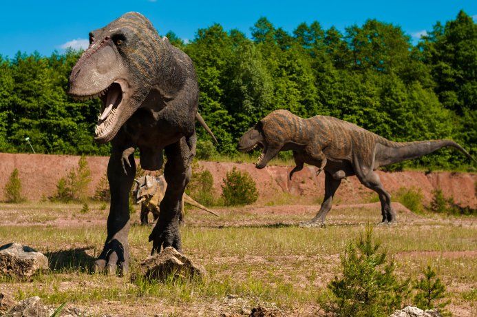 La sociabilidad de los grandes dinosaurios les ayudó en su evolución