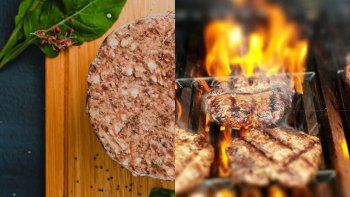 Hamburguesas de búfalo, una nueva apuesta