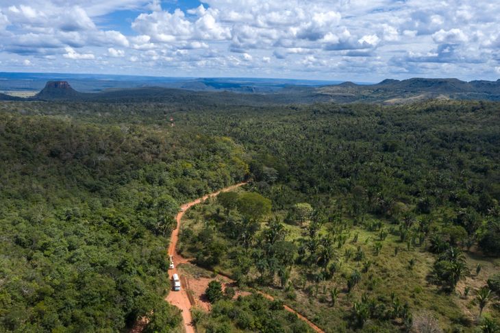 Kenya vivirá en el Santuario de Elefantes de Mato Grosso. Kenya vivirá en el Santuario de Elefantes de Mato Grosso.