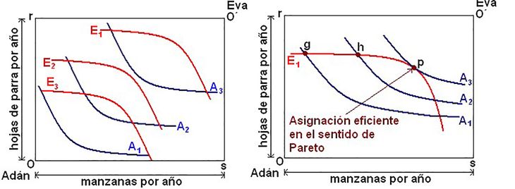 Representación grafica de las curvas de indiferencia de Pareto y del óptimo de Pareto mediante “cajas de Edgeworth” (el caso del consumo de manzanas y hojas de parra de Adán versus el de Eva). Lo más que suelen aprender los economistas sobre Pareto.