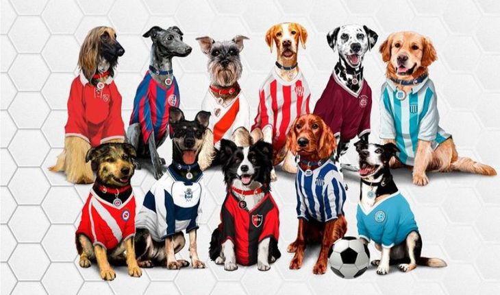 Sporty Fan Pet en Instagram Sporty Fan Pet en Instagram