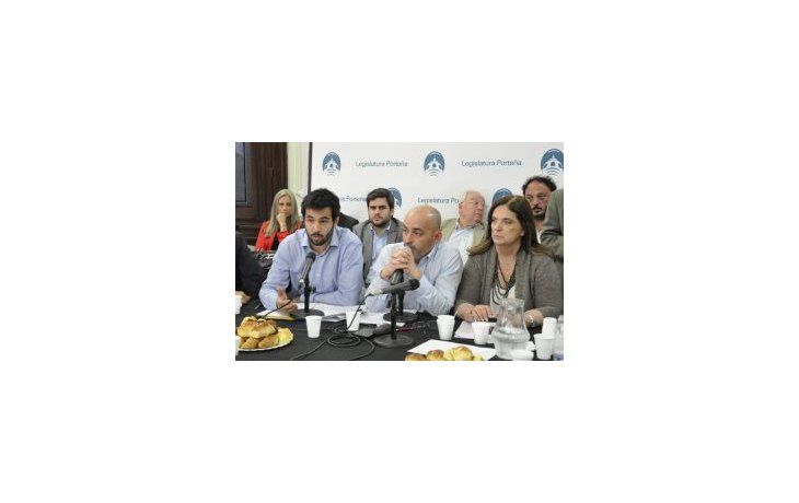 Foto: prensa Legislatura.