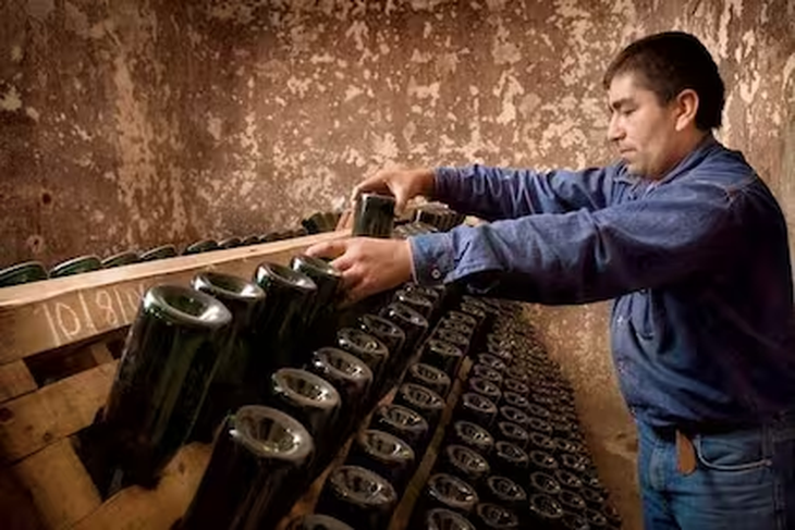 Un trabajador del vino. Un trabajador del vino.