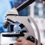 Este microscopio cambiará el trabajo de los científicos para siempre. Este microscopio cambiará el trabajo de los científicos para siempre.