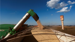 El pacto Transpacífico es considerado uno de los acuerdos de exportaciones más exigentes y avanzados del mundo. El pacto Transpacífico es considerado uno de los acuerdos de exportaciones más exigentes y avanzados del mundo.