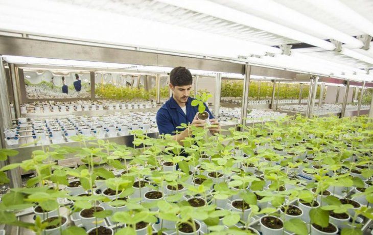 Bioceres S.A. es la empresa argentina que dio origen al grupo biotecnológico fundado en Rosario. Bioceres S.A. es la empresa argentina que dio origen al grupo biotecnológico fundado en Rosario.