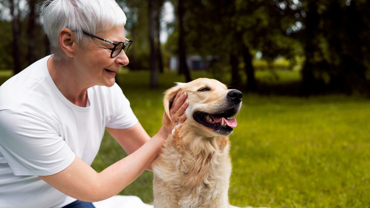 Having pets is as good as being a millionaire for your mental health, according to revolutionary study