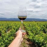 Vinos, bodegas, montañas, agua y naturaleza son el resumen de los atractivos que reúne Mendoza y que atraen a quienes eligen vacacionar en esta provincia Vinos, bodegas, montañas, agua y naturaleza son el resumen de los atractivos que reúne Mendoza y que atraen a quienes eligen vacacionar en esta provincia