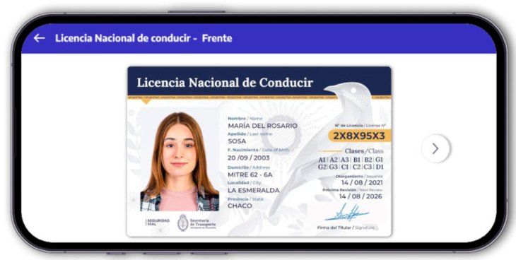En la Ciudad de Buenos Aires, la Dirección General de Habilitación a Conductores administra los carnets digitales y clasifica las licencias.