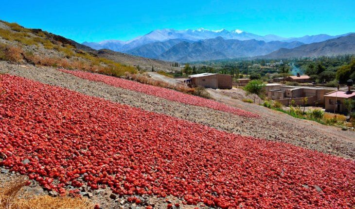 El rojo vivo es lo que caracteriza esta postal única.
