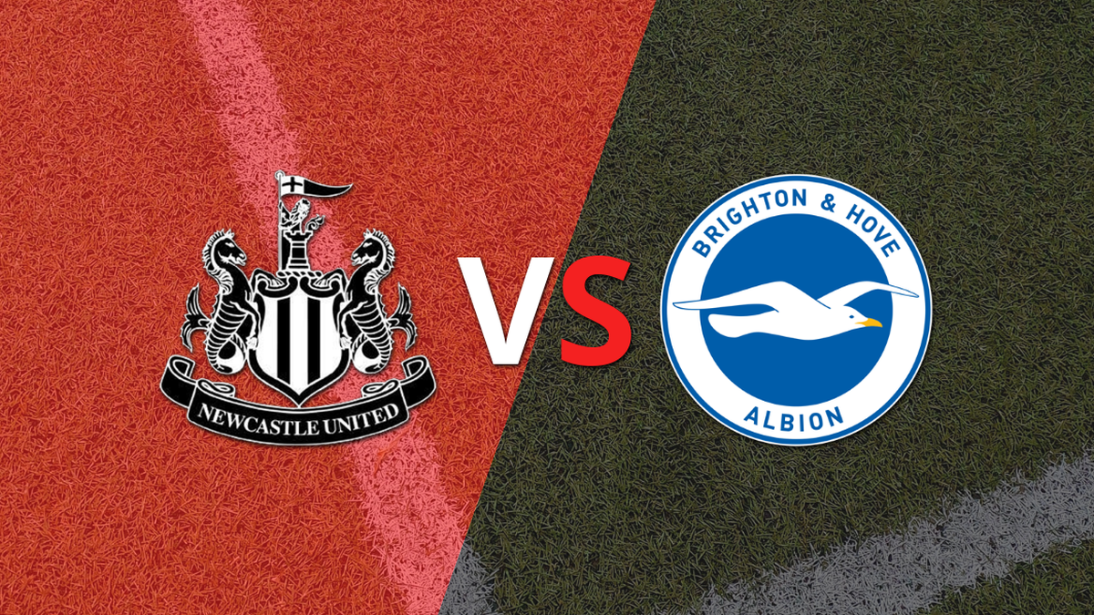 England – Premier League: Newcastle United vs Brighton and Hove Date 37