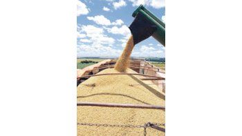 Las exportaciones de producción primaria marcaron un nuevo récord interanual al sumar u$s 781 millones. Un tercio de esas ventas al exterior correspondió al poroto de soja.