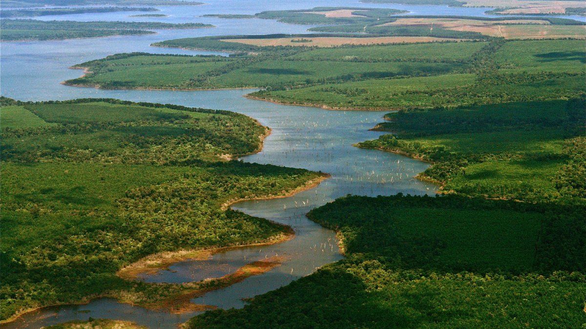 Corrientes: An Italian tourist reported that she was raped in the Iberá Wetlands