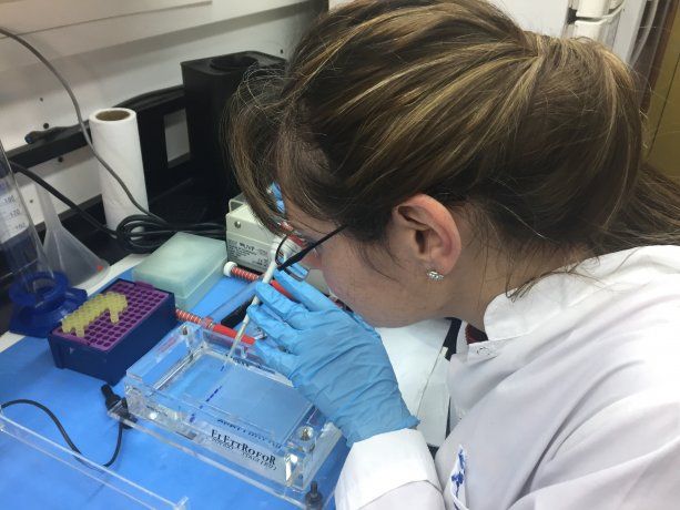 Investigadores del CONICET. Investigadores del CONICET.