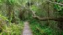 Punta Lara Natural Reserve, a beautiful place to learn about the native fauna near CABA. Punta Lara Natural Reserve, a beautiful place to learn about the native fauna near CABA.
