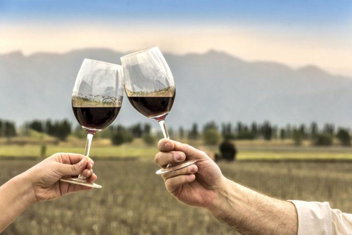 The Wine Route, the Vine and Wine Museum and the Quebrada de las Conchas are some essential stops if you travel to Cafayate. The Wine Route, the Vine and Wine Museum and the Quebrada de las Conchas are some essential stops if you travel to Cafayate.